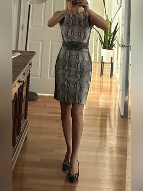 Diane Von Furstenberg Gray Snake-Print Sheath Dress